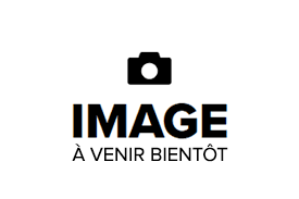 <!420>Câble DisplayPort à DisplayPort (1.8M), Lenovo, 0A36537